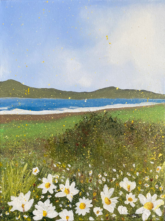 Daisies and Clare Island - NEW!