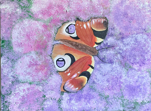 Meet Diane - the Beautiful Peacock Butterfly