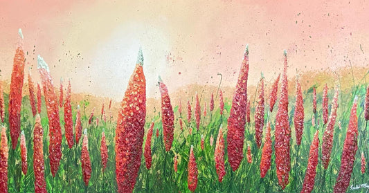 New commission "Echium" .