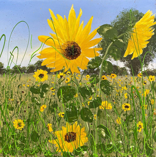 “Sunflower Joy” 🌻🌻🌻