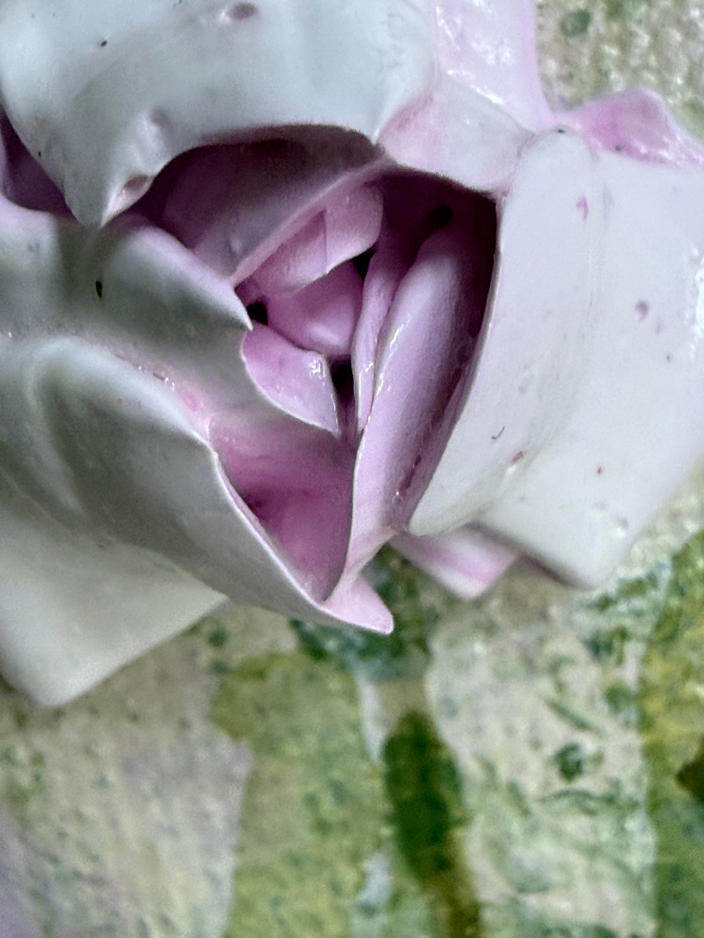 Cottage Garden Drift