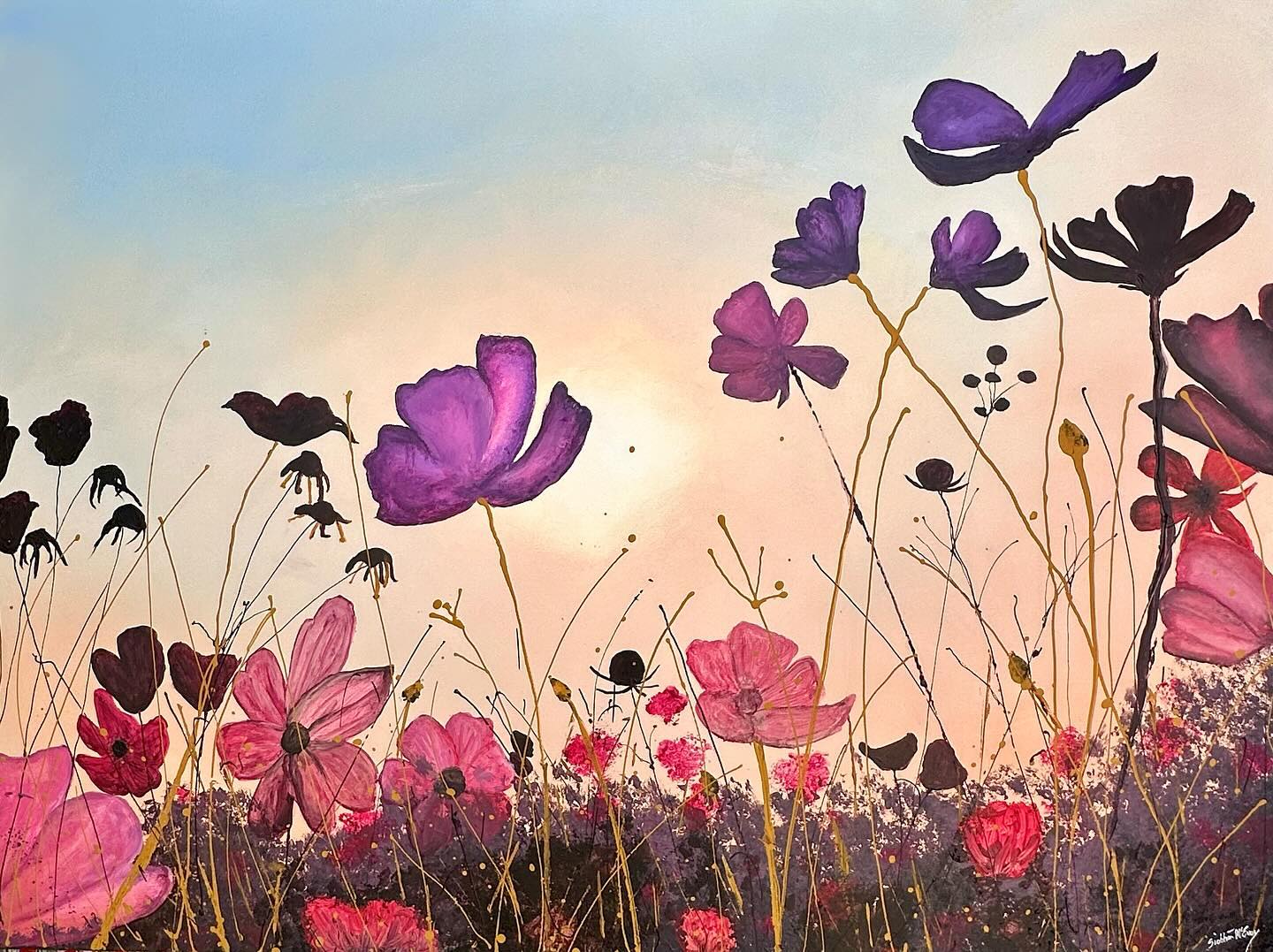 “Beautiful Cosmos Flowers”