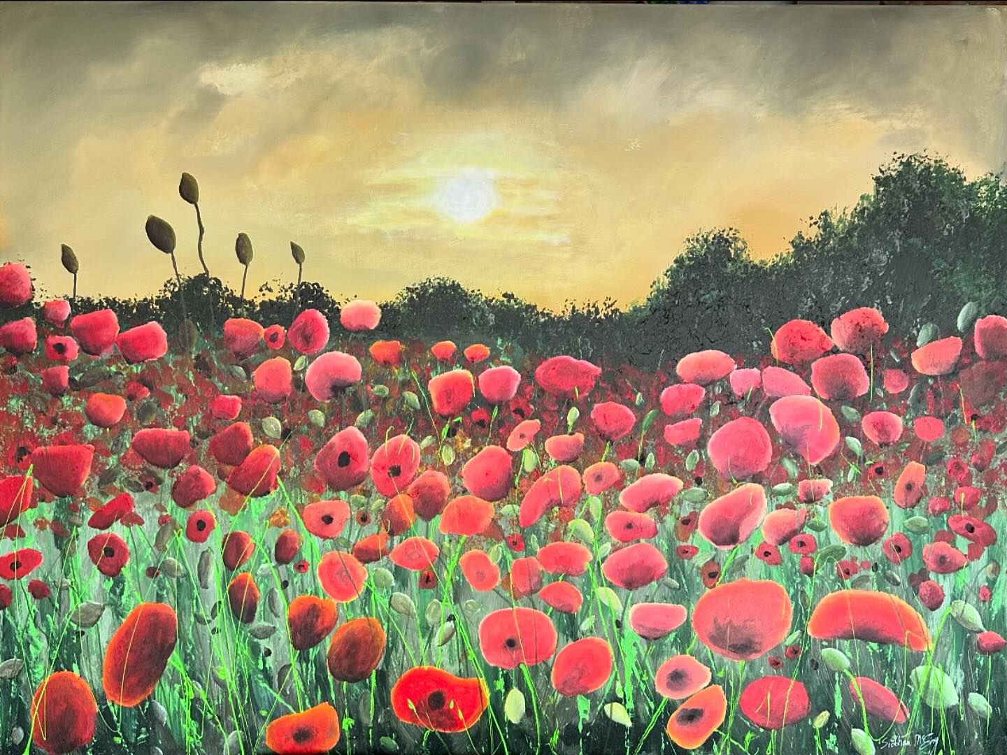 Sunset Poppies