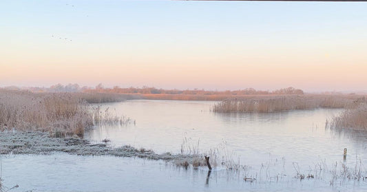 Inspiration from beautiful Norfolk