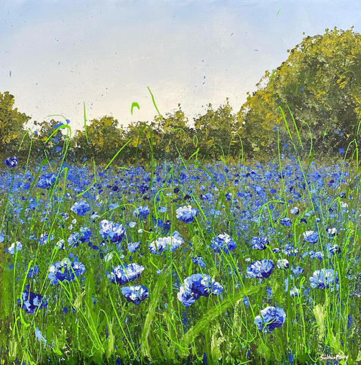 “Cornflower Meadow” 💙