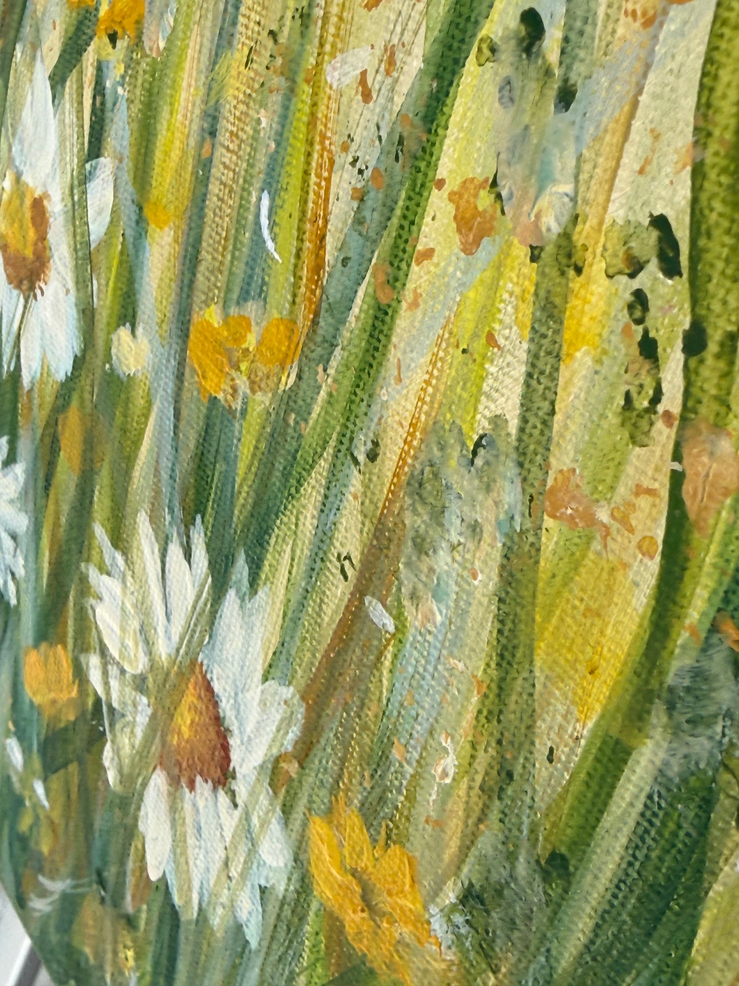 Lost in the Meadow