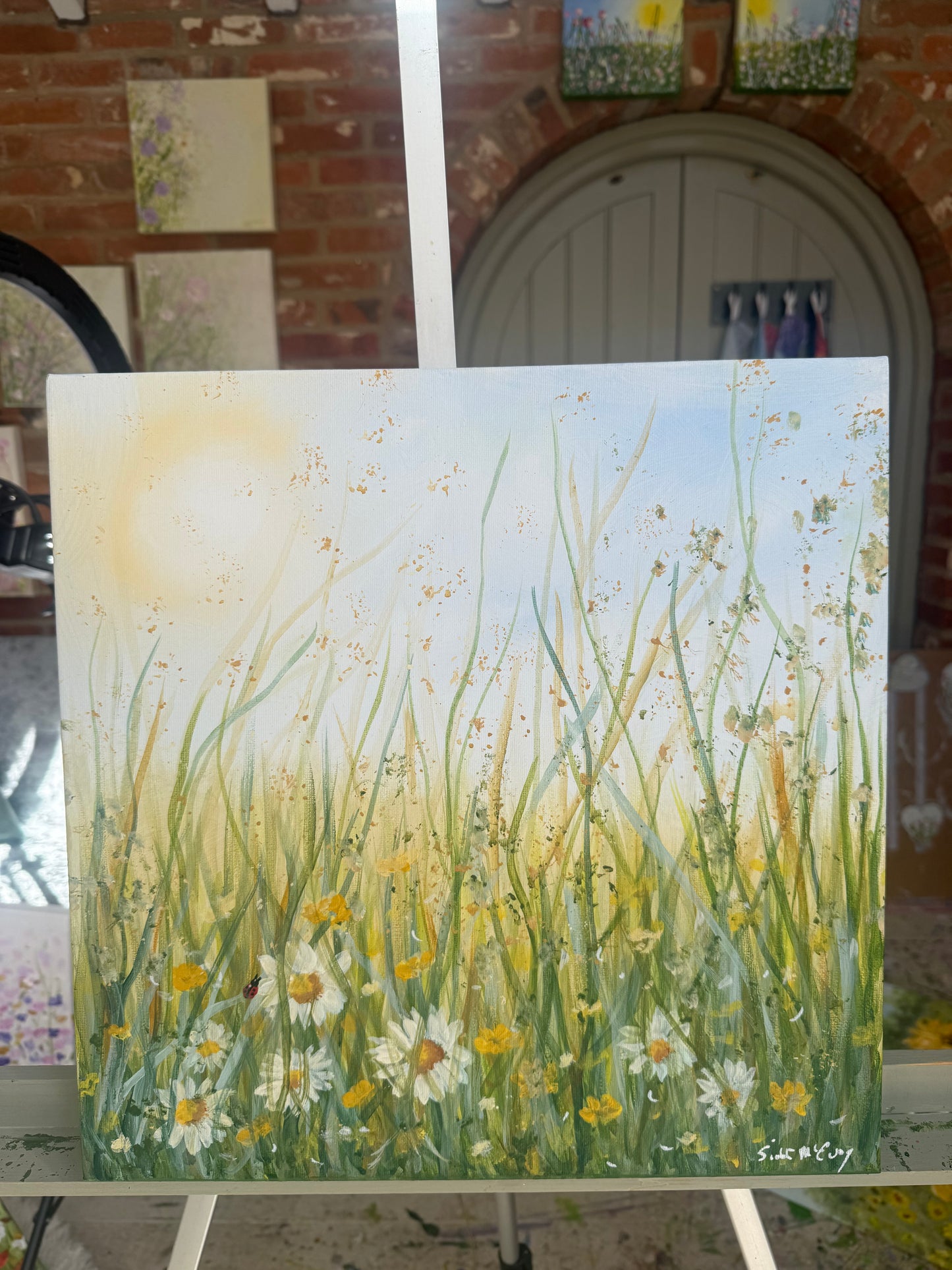 Lost in the Meadow