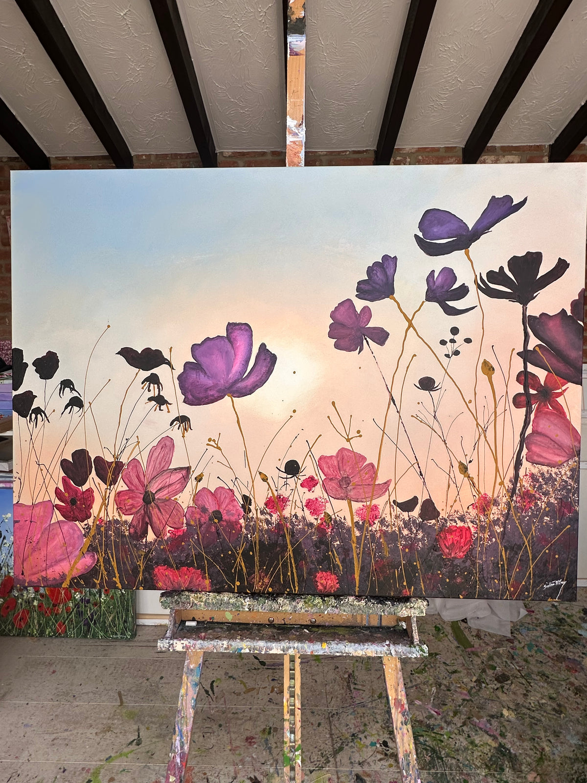 “Beautiful Cosmos Flowers”