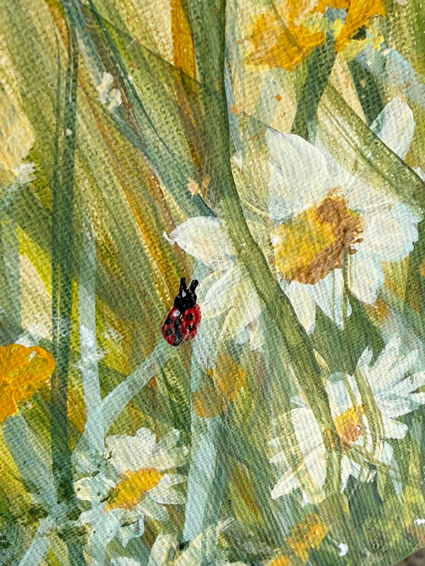 Lost in the Meadow
