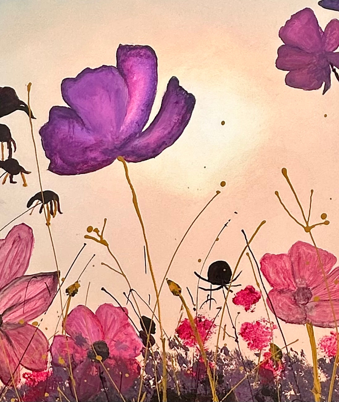 “Beautiful Cosmos Flowers”