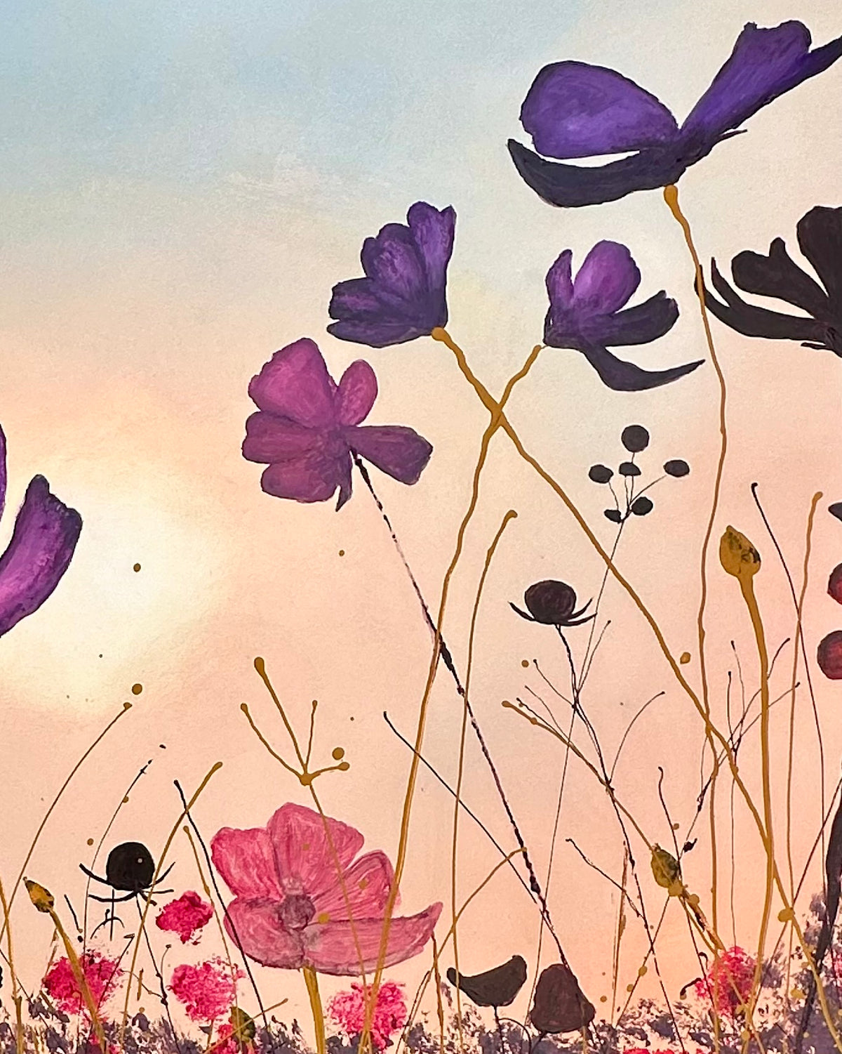 “Beautiful Cosmos Flowers”