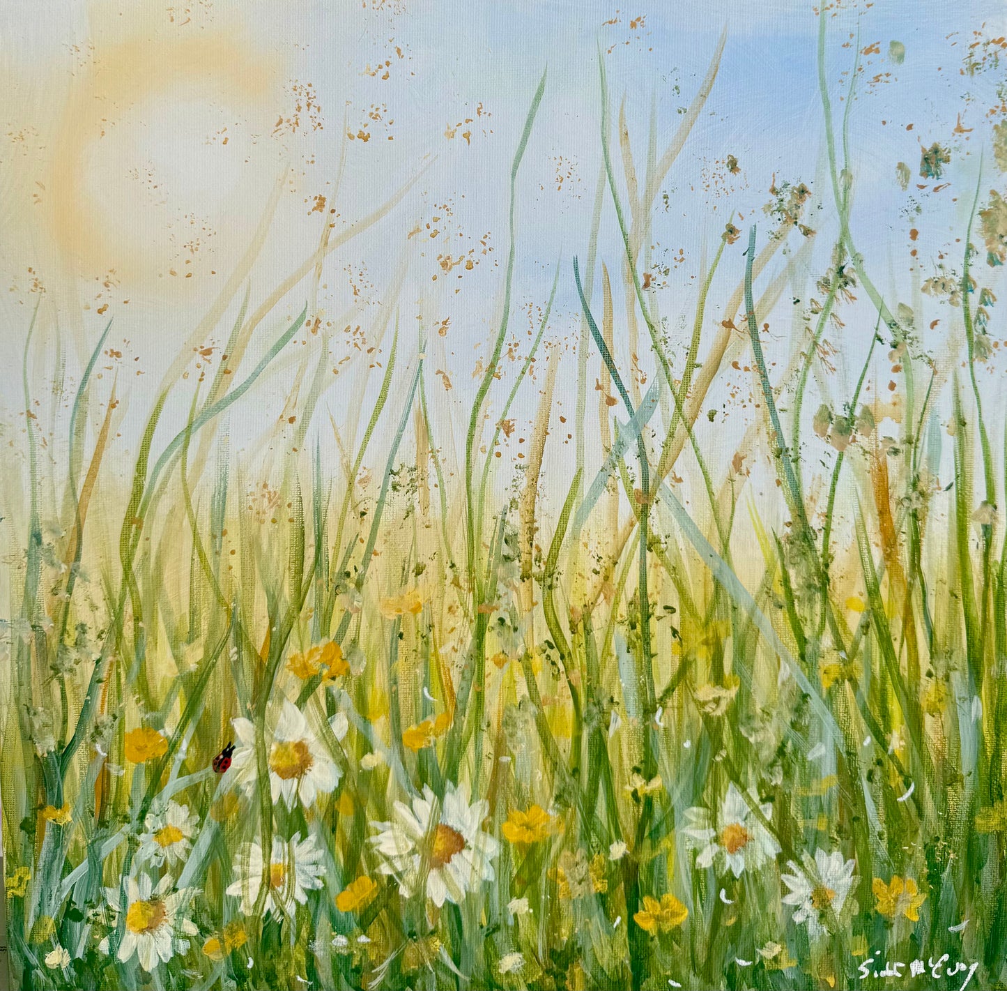 Lost in the Meadow