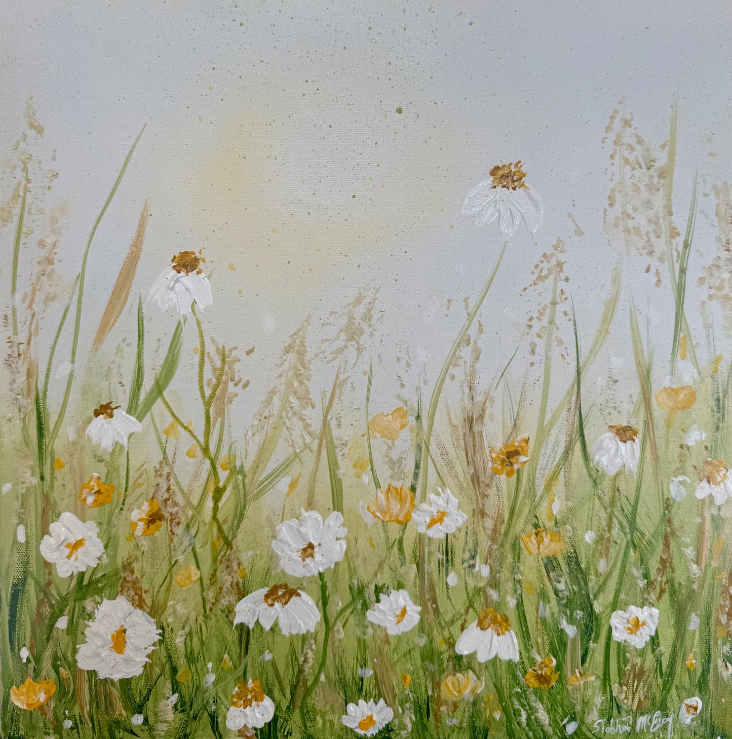 A Quiet Sanctuary