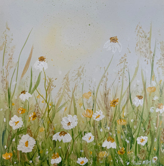 A Quiet Sanctuary