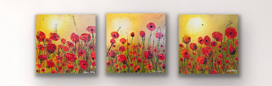Poppy Study Series — Set of Three