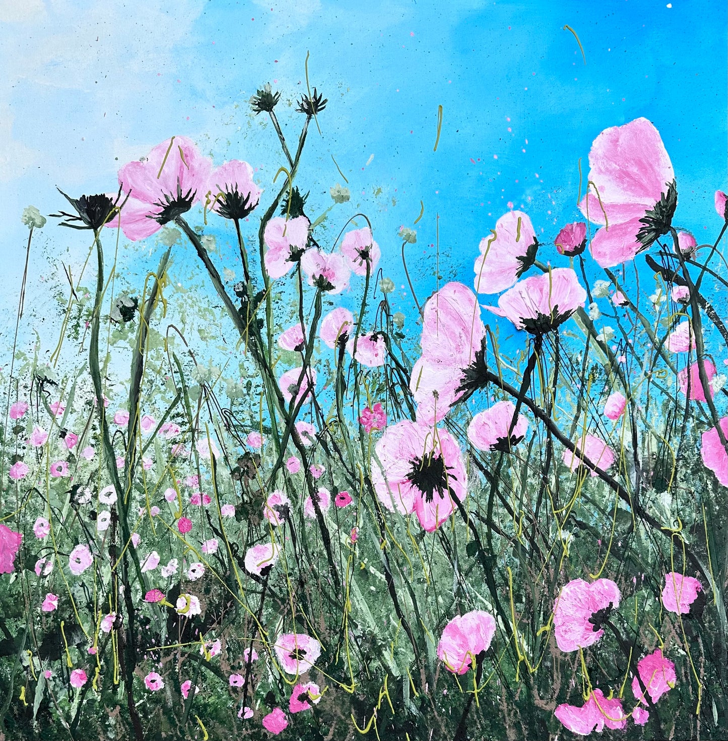 Pink Cosmos