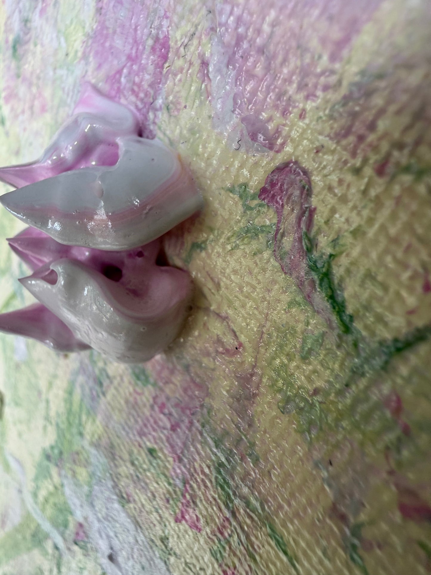 Cottage Garden Unfolding