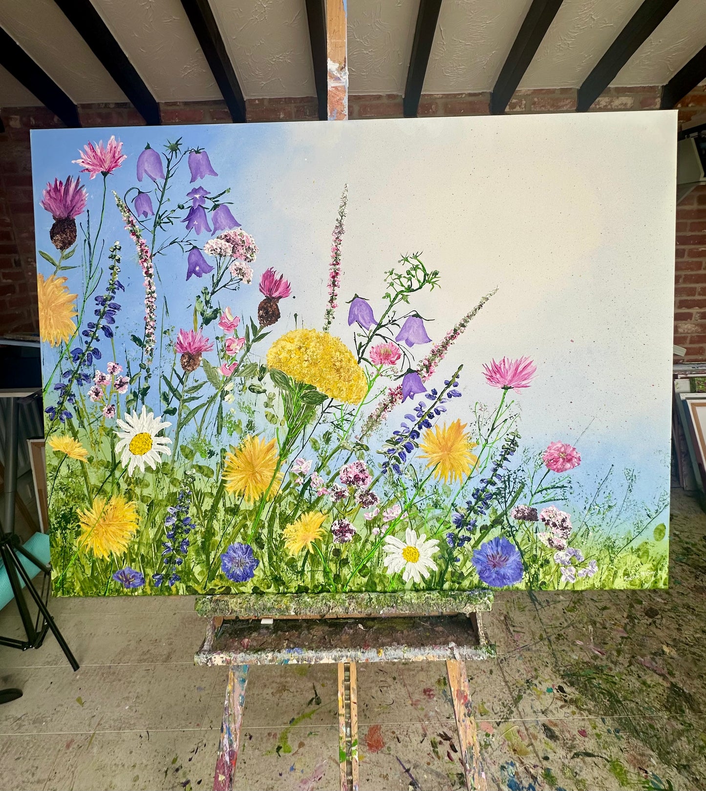 Glorious Meadow