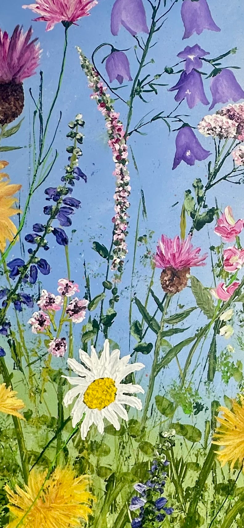 Glorious Meadow