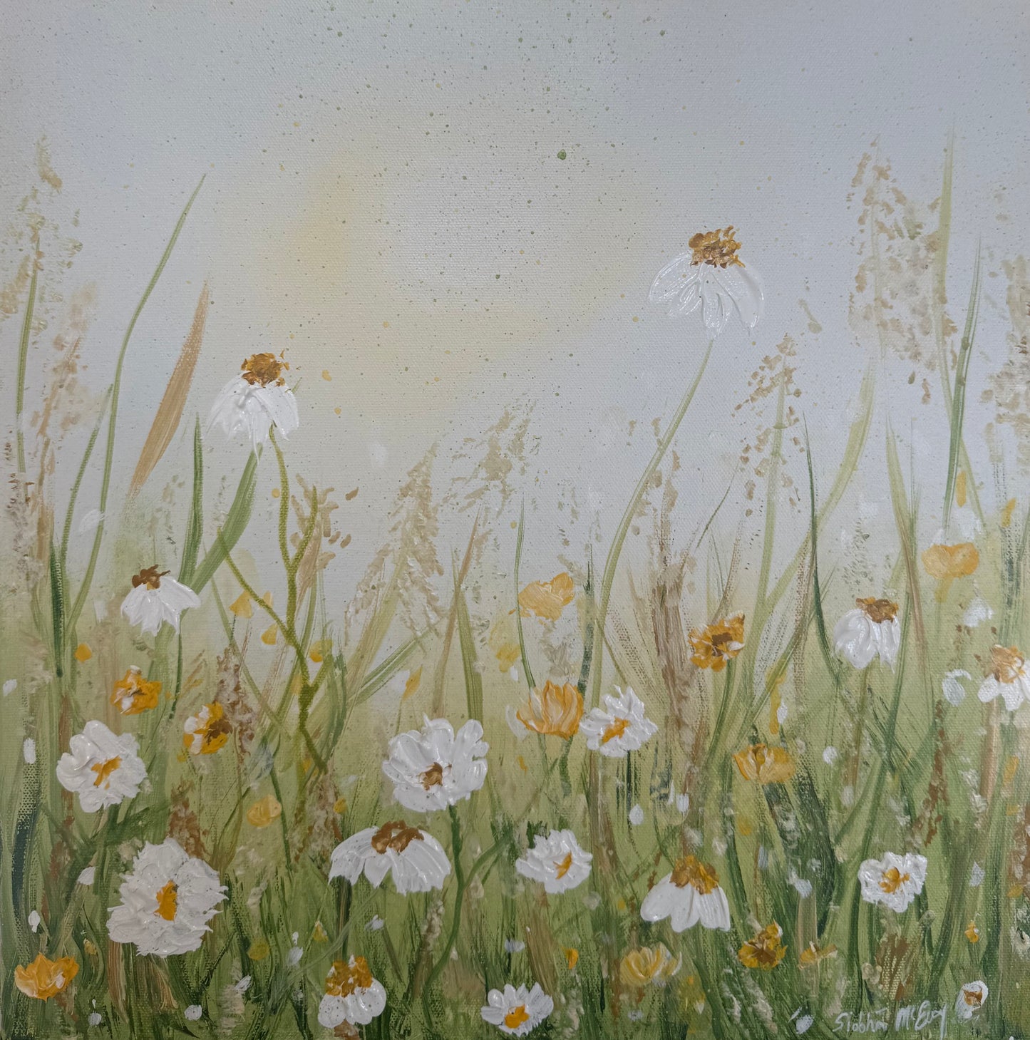 A Quiet Sanctuary