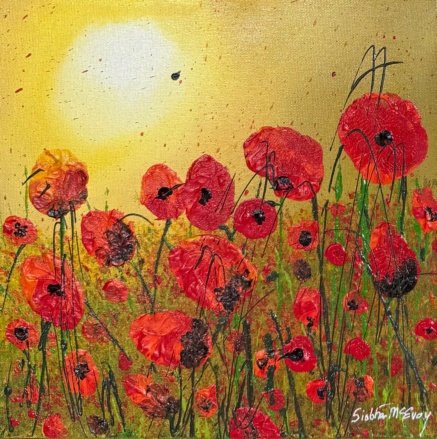 Poppy Study Series — Set of Three