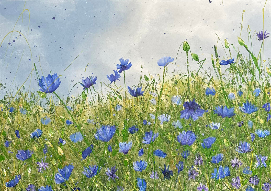 Blue Cornflowers