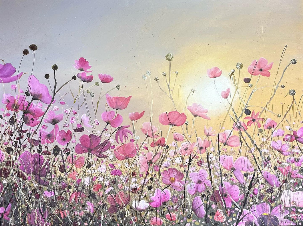 Cosmos Flower Meadow at Sunset