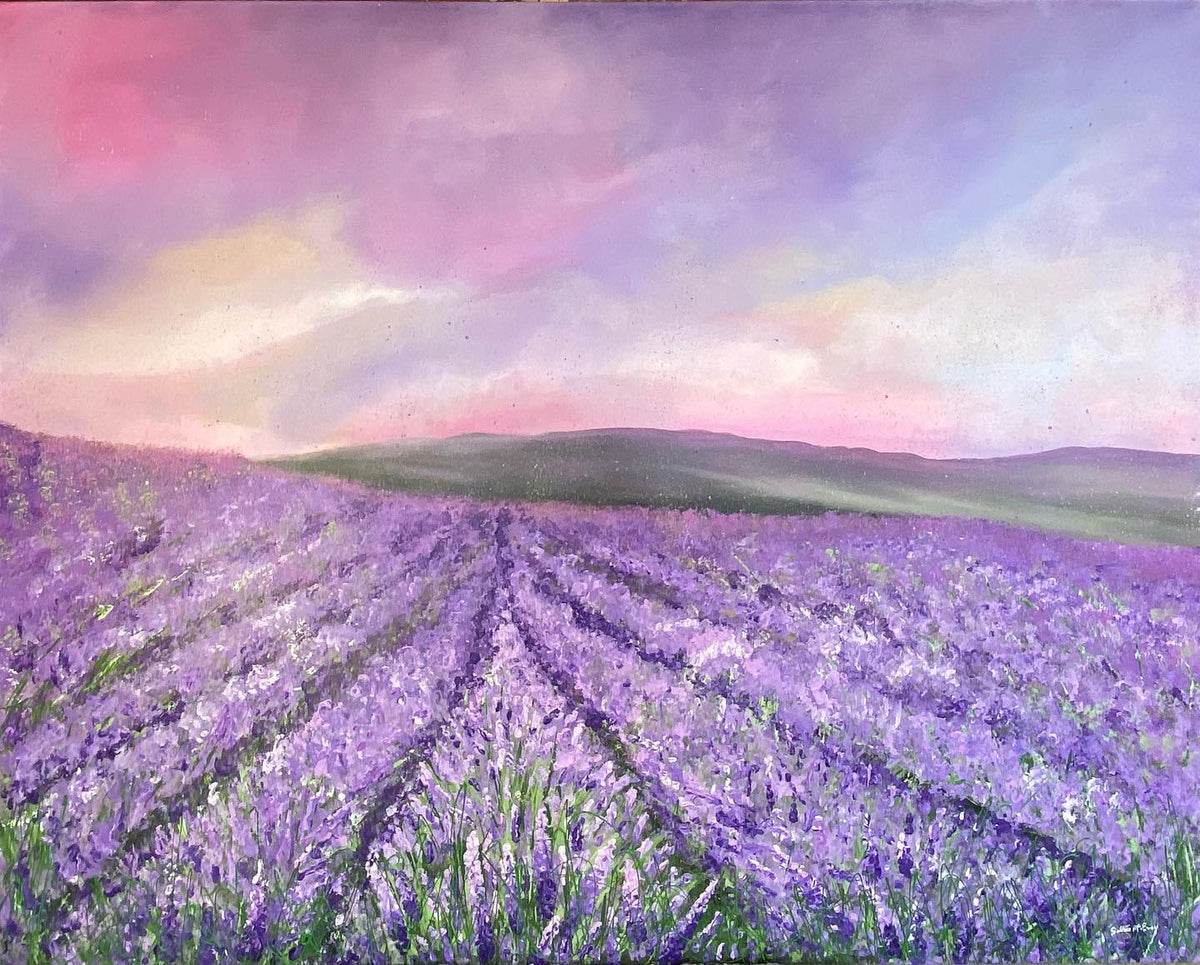 Lavender Field