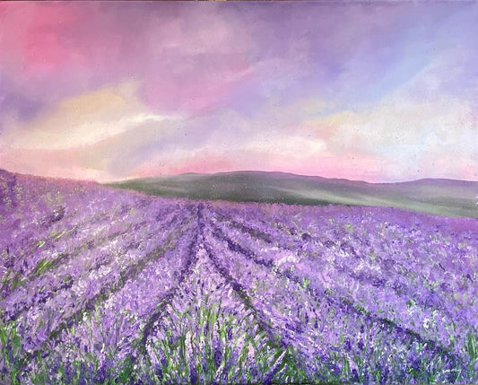Lavender Field